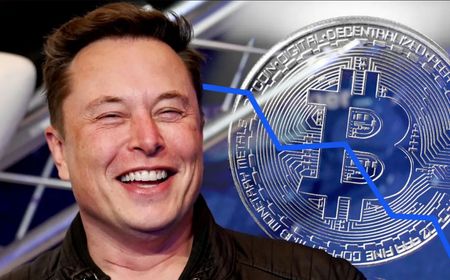 Setelah Kritik NFT, Elon Musk Dukung Inskripsi Ordinal