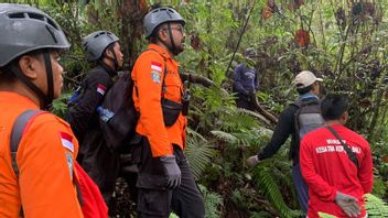 SARチームは、タバナンのバトゥカル山で迷子になったエカプトゥリプラティウィ登山家を見つけました