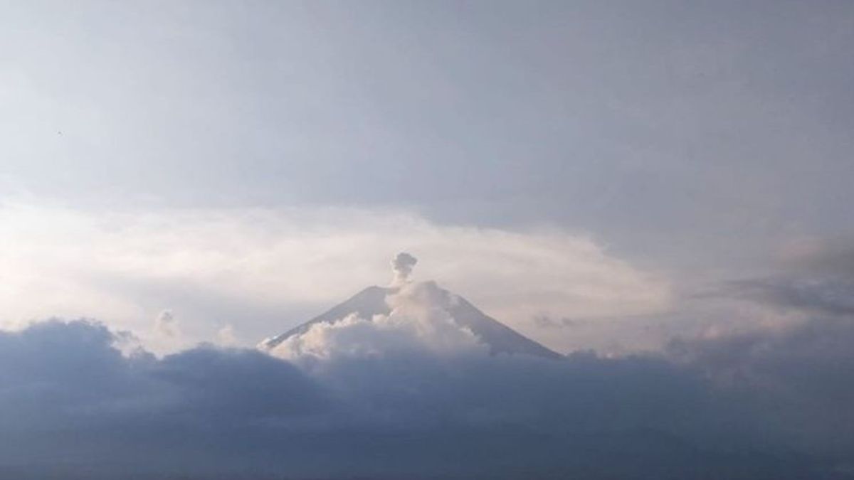 Mount Semeru Erupts Again With A Eruption Of 700 Meters High