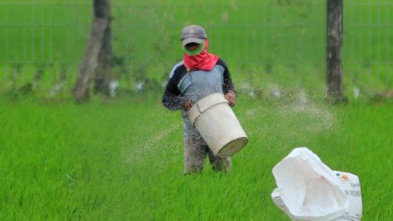 Pupuk Subsidi Disebut Kerap Hilang, Ini Kata KTNA Indramayu