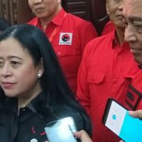 Puan Anggap Pilgub Jateng Bukan Perang Bintang