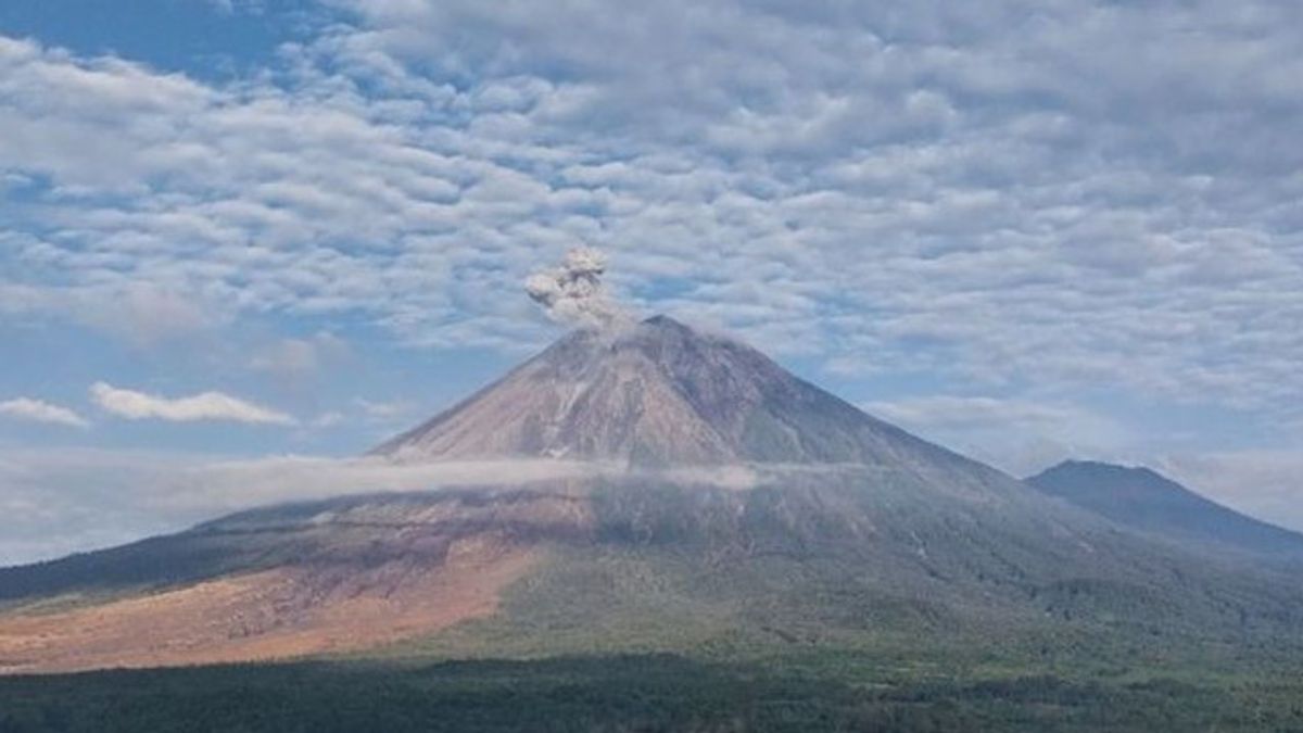 Jumat Pagi Gunung Semeru Erupsi, Warga Diminta Jauhi Radius 13 Km di Besuk Kobokan