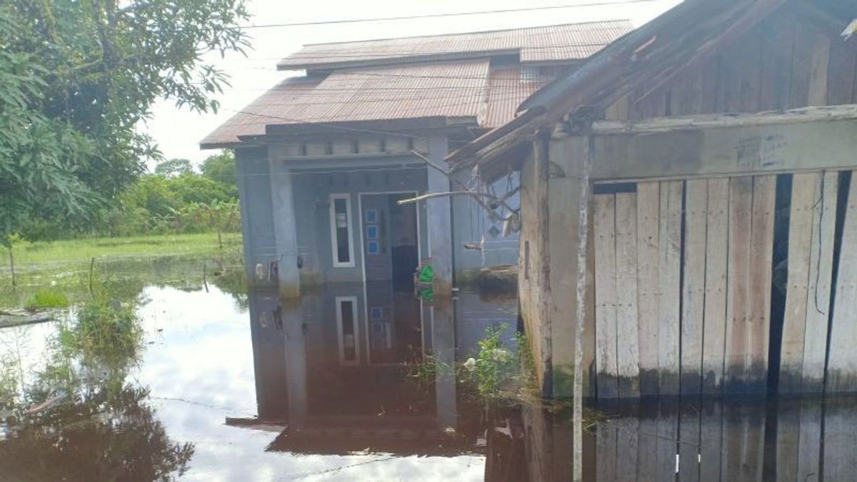 10 Houses In North Singkawang, West Kalimantan Flooded, BPBD Coordinates To The Village Head