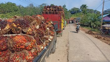 Terbitkan SE, Gubernur Rohidin Mersyah Larang Transport Barang Melantas Di Jalan Lintas Provinsi Bengkulu