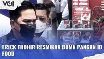 VIDEO: Luncurkan BUMN Pangan ID Food, Ini Kata Menteri BUMN Erick Thohir
