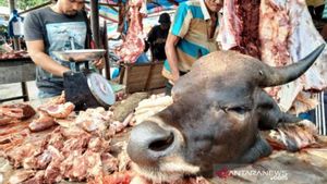 Semua Daging dalam Tradisi "Meugang" di Aceh Barat Aman Dikonsumsi