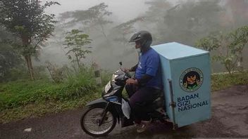 बजट दक्षता के बीच BGN इलेक्ट्रिक मोटर की खरीद का विडंबना