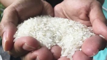 زيادة أسعار الأرز تساهم في التضخم في مدينة مالانج في ديسمبر 2022