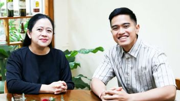 Puan-Kaesang Meeting在咖啡馆,平等化和年轻选民相关的含义