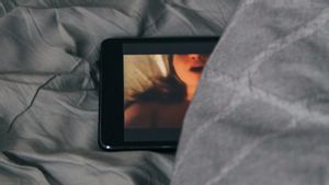 Jaksa Agung Florida Gugat Situs Web Pornografi yang Tak Terapkan Verifikasi Usia