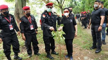 チリウン流域の「汚い」清潔で植物の木に喜んで、ヤソンナ大臣:PDIP彼の服は赤いが、緑を気に