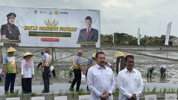 Lahan Sitaan Benny Tjokro di Tambun Dimanfaatkan untuk Program Jaksa Mandiri Pangan
