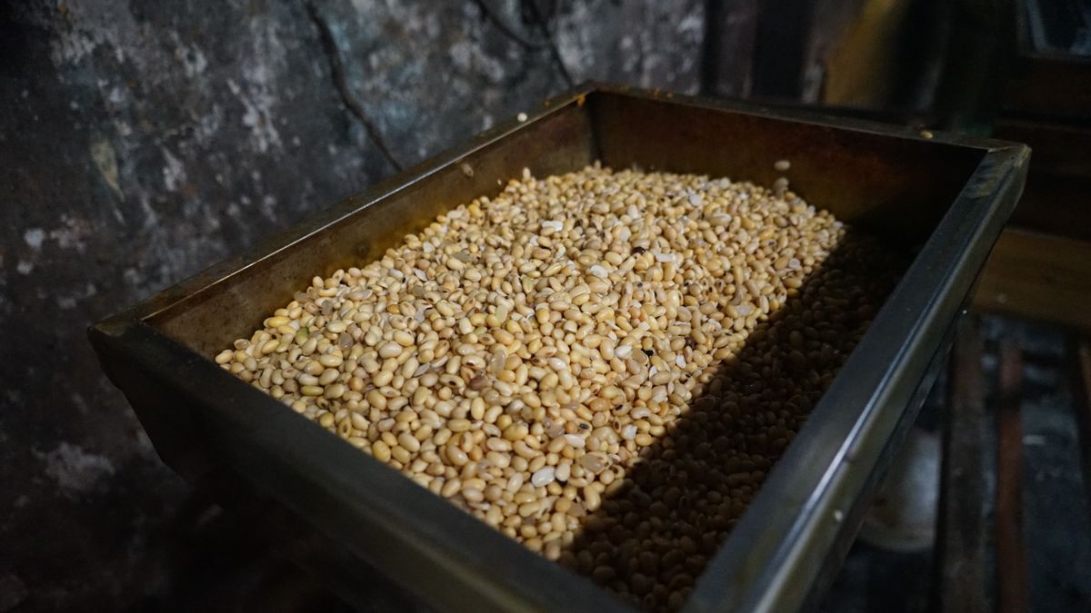 अमान्य टेम्पे के लिए आवश्यकता, सरकार ने दावा किया कि राष्ट्रीय सोयाबीन स्टॉक अभी भी पर्याप्त है
