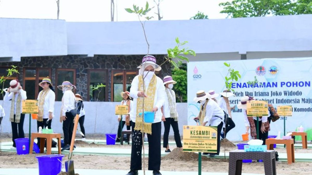 Iriana Jokowi dan OASE KIM Tanam Pohon Kesambi di Pulau Rinca
