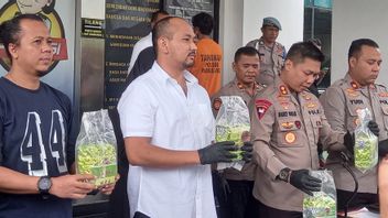 Satu Tahun Berjalan, Bandar Narkoba di Riau Edarkan Sabu di Wilayah Tangerang Selatan