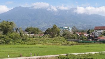 Geologi ESDM: Aktivitas Gunung Marapi Sumbar Alami Peningkatan