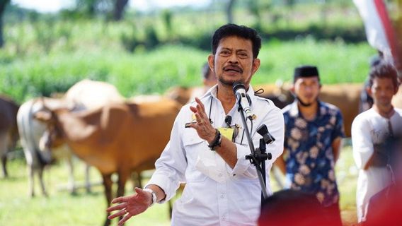 Mentan Dorong Jeneponto Jadi Sentra Pertanian-Peternakan Berkualitas