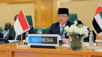 Tegaskan Totalitas Indonesia Bantu Palestina, Menlu Sugiono Pastikan Tidak Ada Pemindahan Warga Gaza