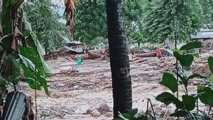Tak Cuma Makanan, BNPB Juga Salurkan Rapid Test Antigen ke Lokasi Bencana Banjir Bandang Flores Timur