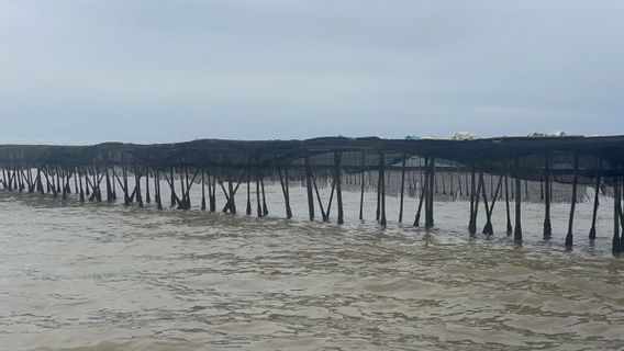 Fakta Pagar Laut Misterius di Laut Tangerang, Sudah Didirikan Selama Setahun