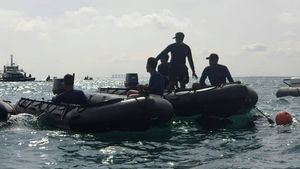 Komando! Aksi Marinir Sisir Lokasi Jatuhnya Pesawat Sriwijaya Air SJ-182 dengan Pinger Locator