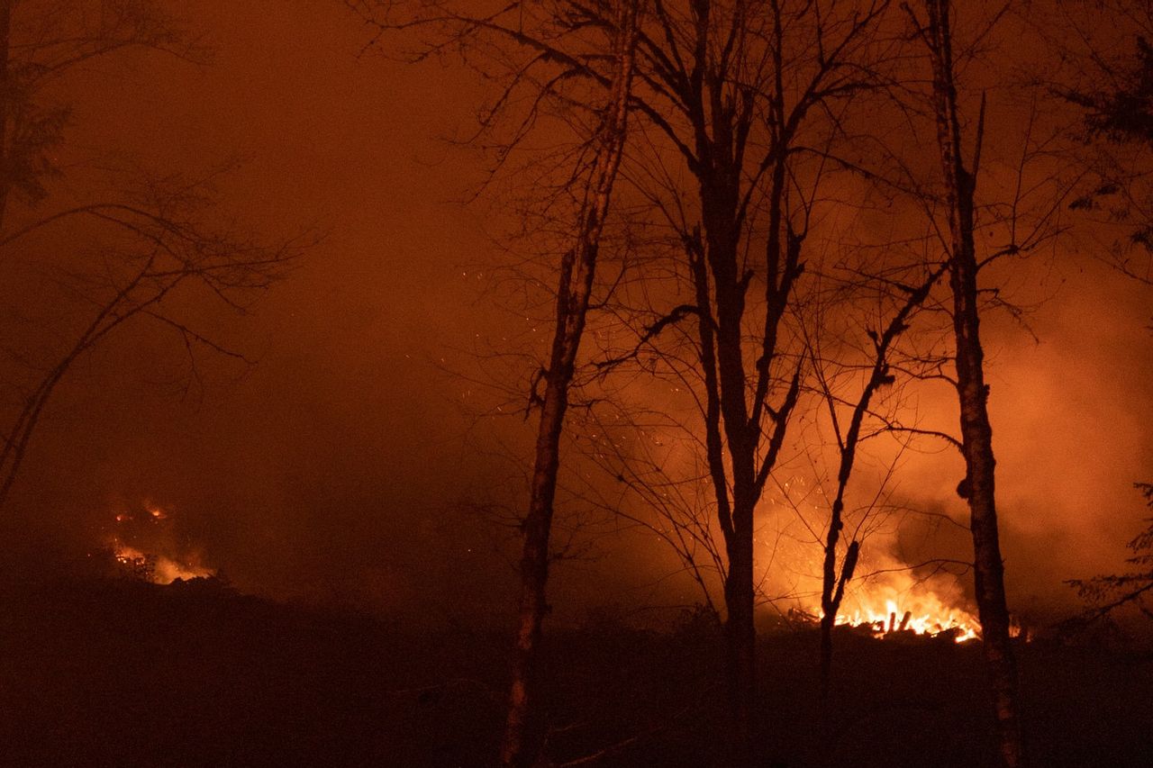 強風が米国の山火事をオレゴン州に押し上げる