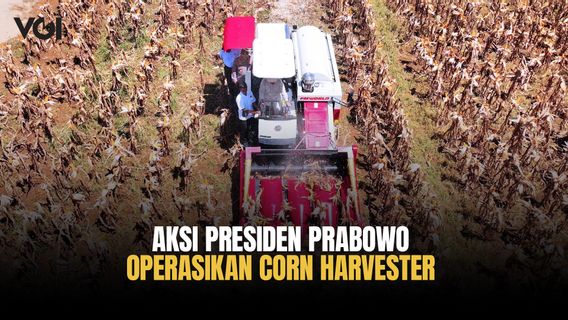 Aksi Presiden Prabowo Operasikan Corn Harvester