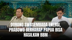Prabowo Dorong Swasembada Energi di Papua