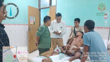Residents In Indragiri Hulu Attacked By 2 Sumatran Tigers, Allegedly Parenting Children Hunting