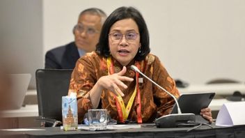 斯里·穆利亚尼(Sri Mulyani)声称,2025年第一季度的经济增长仍然具有弹性,尽管增长缓慢。