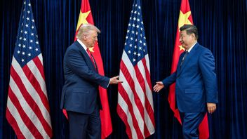 トランプと習近平は世界の平和問題を議論する