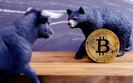 Winter is Coming, Trader Kripto Peter Brandt Sebut Harga Bitcoin Masih Akan Terjun Lagi