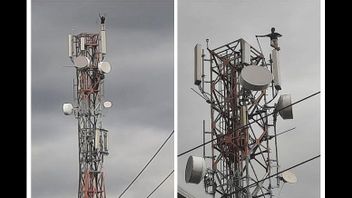 44メートルの電気通信塔を登るために必死の北バリトの男