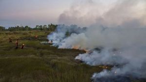 Ratusan Warga Mengungsi Imbas 4 Hari Karhutla Melanda Suriah, Tim PBB Turun Gunung