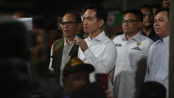 民事訴訟は却下され、ジブラン副大統領の地位は弾劾によってのみ疑問視される