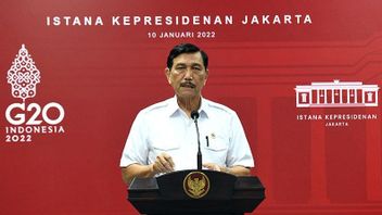 Luhut: Puncak Kasus Omicron di Indonesia Diperkirakan Awal Februari