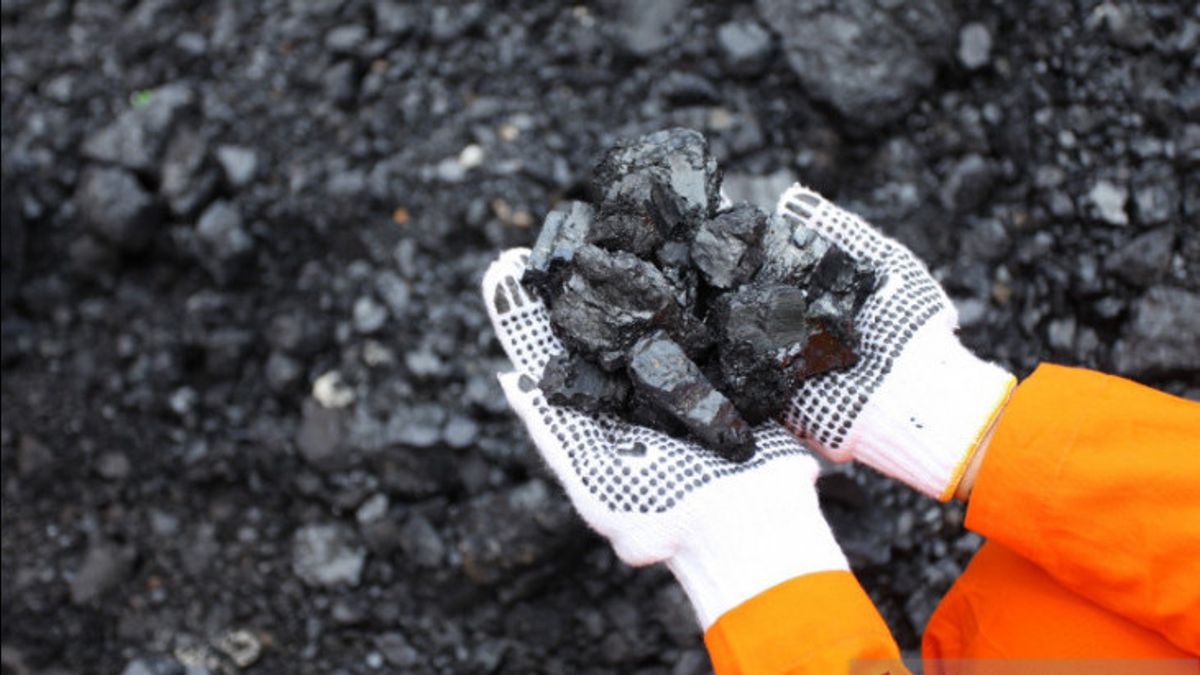 コモディティブームは続き、石炭輸出は史上最高価格で28%成長