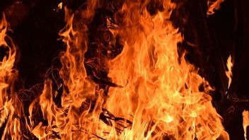 KM LPI Terbakar di Perairan Paiton Pelabuhan Probolinggo, 25 ABK Selamat