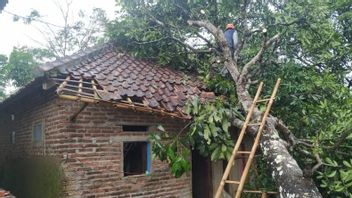 8 Maisons Endommagées Par Le Vent Et La Chute D’arbres à Tasikmalaya