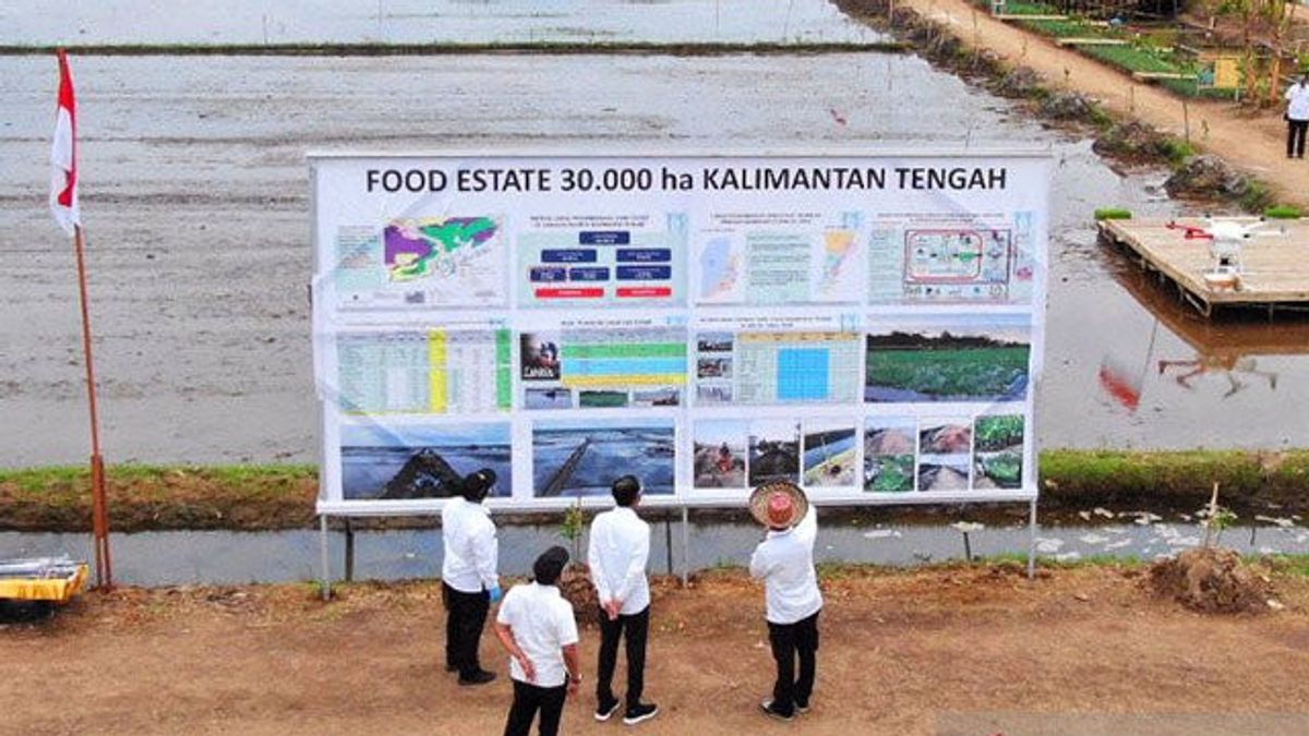 Pakar: Pengembangan Food Estate Sebaiknya Tiru Pembukaan Lahan untuk Kelapa Sawit