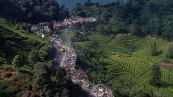 2,83 Juta Wisatawan Diprediksi Bakal Padati Kawasan Puncak di Nataru