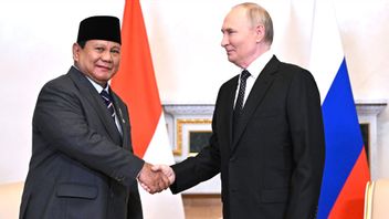 ウラジーミル・プーチン大統領、インドネシアへの石油・ガスへの小麦供給を増やす準備ができている