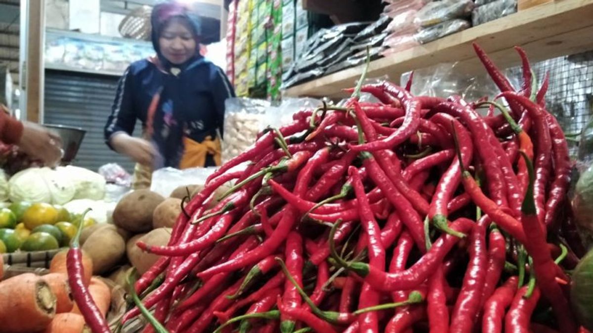 The Price Of Devil's Chili In Kudus Is Now Approaching Normal