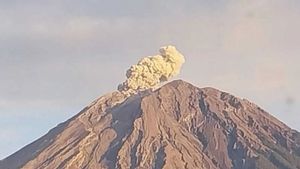 BPBD Calls Tumpang And West Malang Affected By Mount Semeru Volcanic Ash