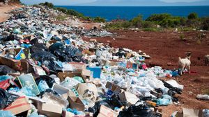7 Jenis Sampah Plastik, Contoh Produk, dan Cara Pengelolaannya Agar Tak Mencemari Lingkungan