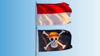 Bukan Separatisme, Pengibaran Bendera One Piece Cerminan Keresahan Masyarakat Terhadap Pemerintah