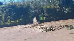 2 Jembatan di OKU Selatan Rusak Diterjang Banjir Bandang, 30 Hektare Perkebunan Terendam