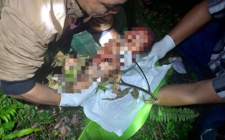 Duh! Penemuan Jasad Bayi di Kebun Gegerkan Warga Lombok Tengah