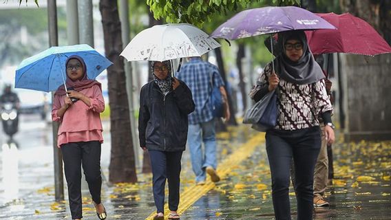 Weather Monday January 8: Alert! Rain Accompanied By Lightning In South And East Jakarta