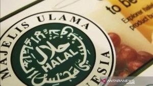Sertifikasi Halal Jalur Self Declare: Panduan Lengkap untuk UMKM